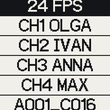 Basic view rows: framerate, channels with cast names, reel and clip